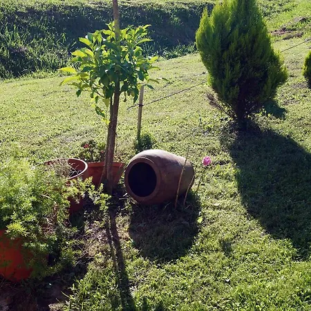 Goikoetxe Baserria * 제아누리