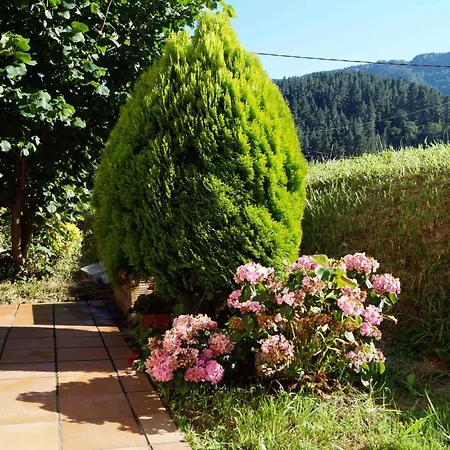 Goikoetxe Baserria 펜션 *