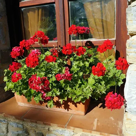 Goikoetxe Baserria * Zeanuri