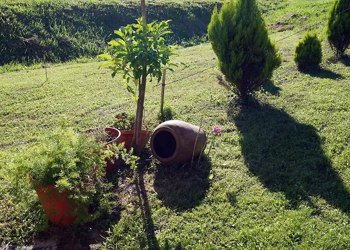 Goikoetxe Baserria * Zeanuri