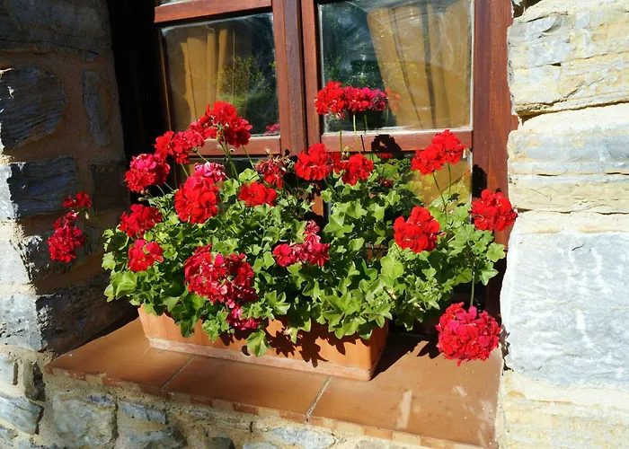 Goikoetxe Baserria * Zeanuri